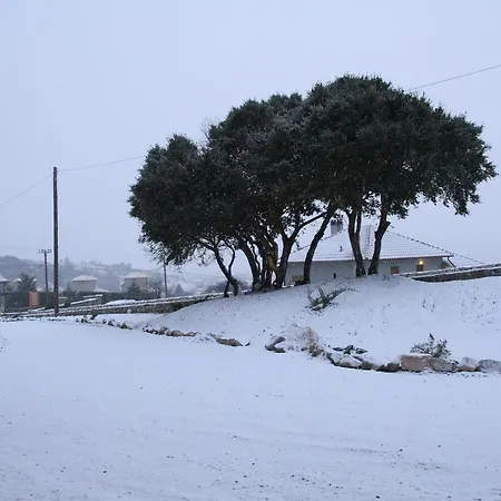 Livadi Πανσιόν 3*