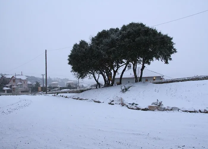 Livadi Πανσιόν 3*